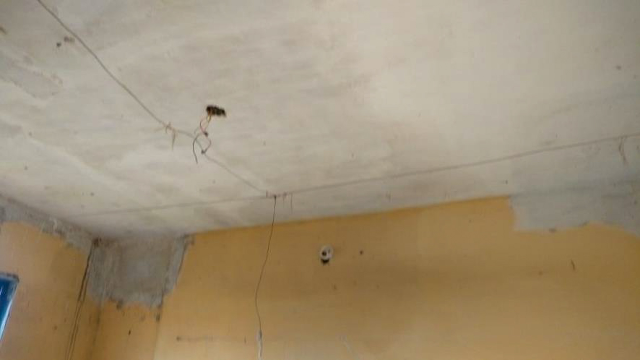 Flat for Sale in Palghar — photo 8