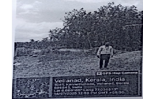 Plot for Sale in Thiruvananthapuram — photo 1