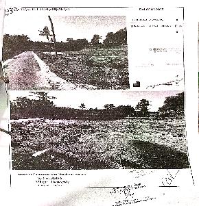 Plot for Sale in Elampalloor — photo 1