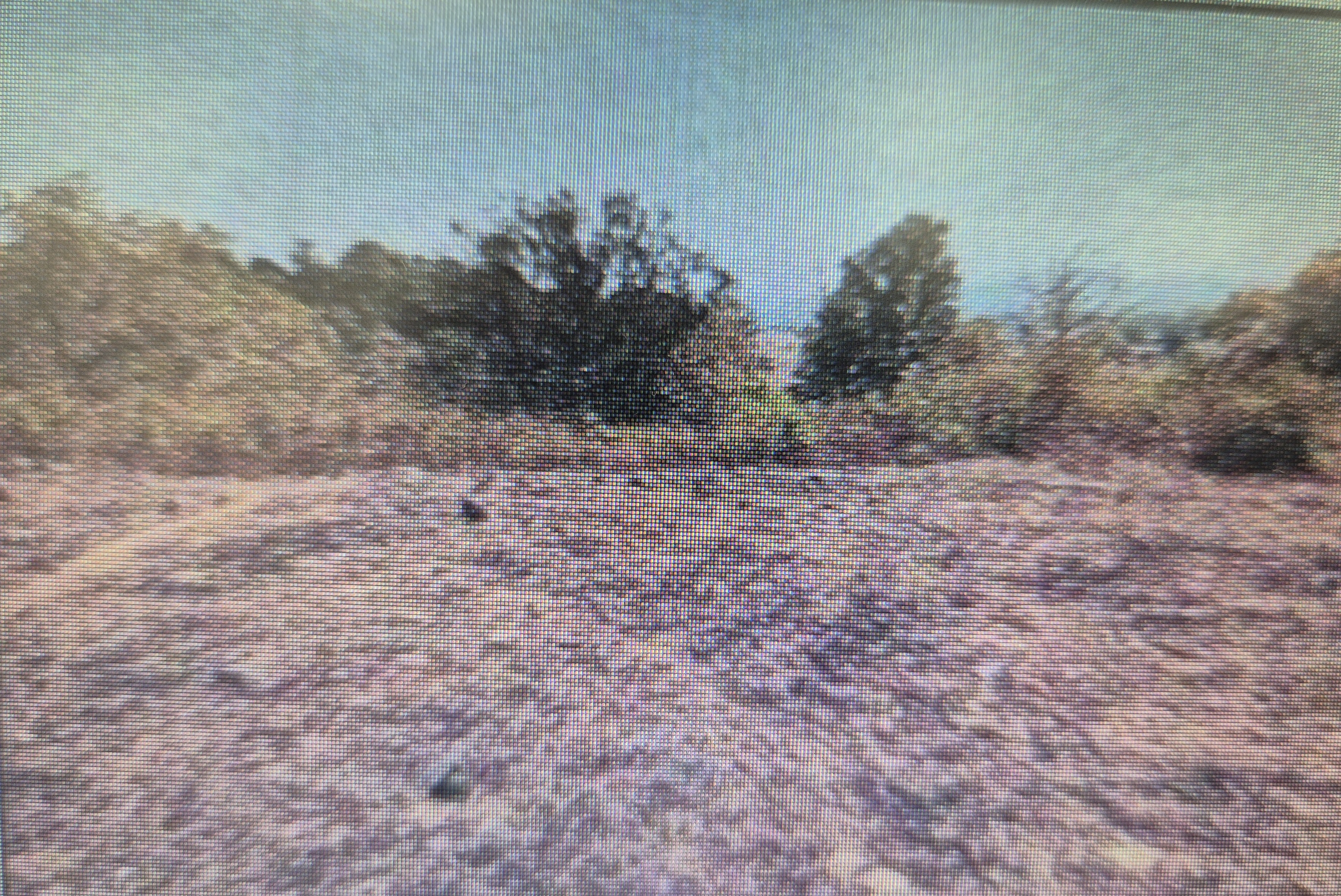 Plot for Sale in District Raigad, Pali — photo 1