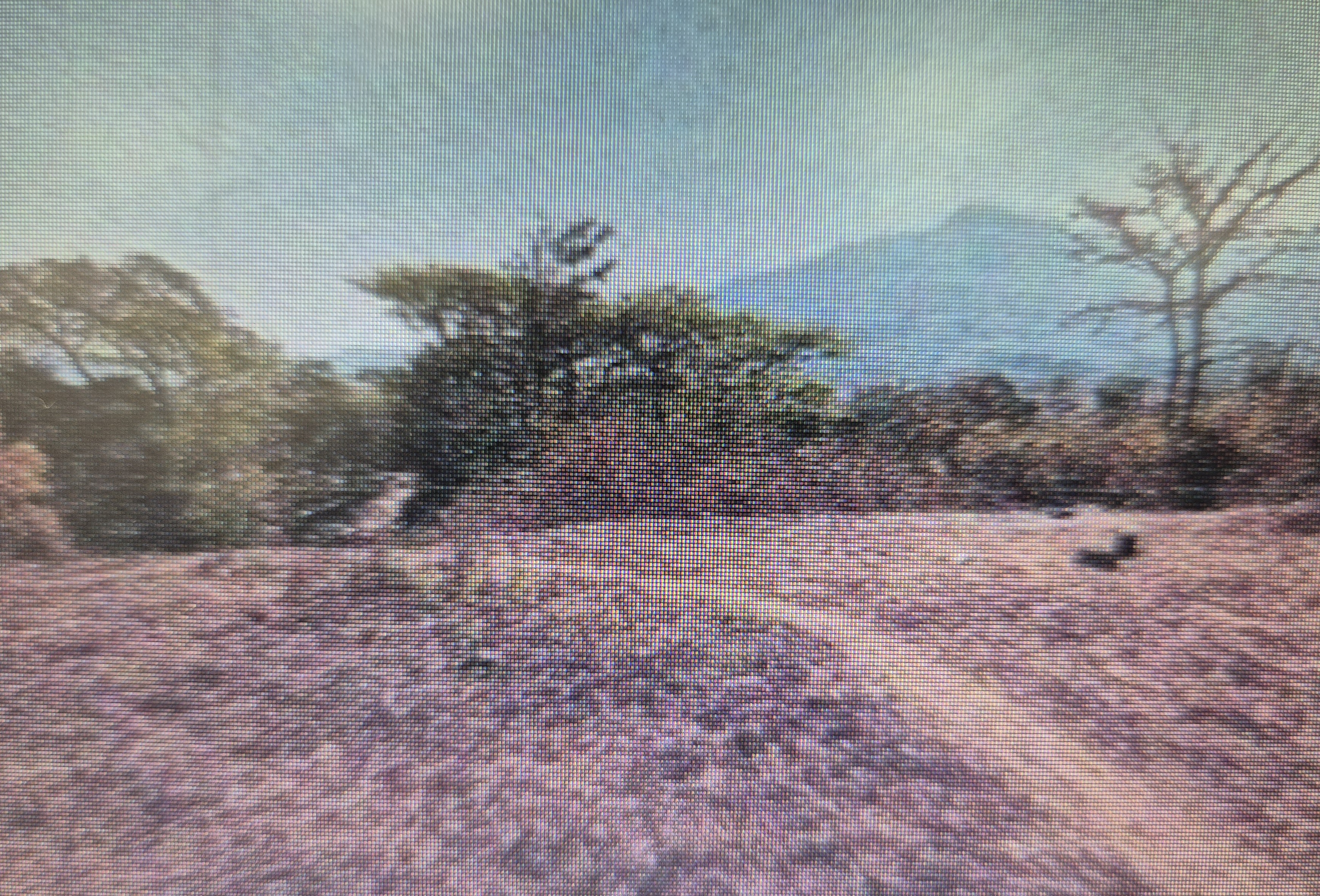 Plot for Sale in District Raigad, Pali — photo 2
