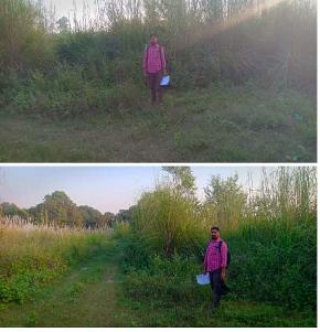 Plot for Sale in Bilaspur — photo 1
