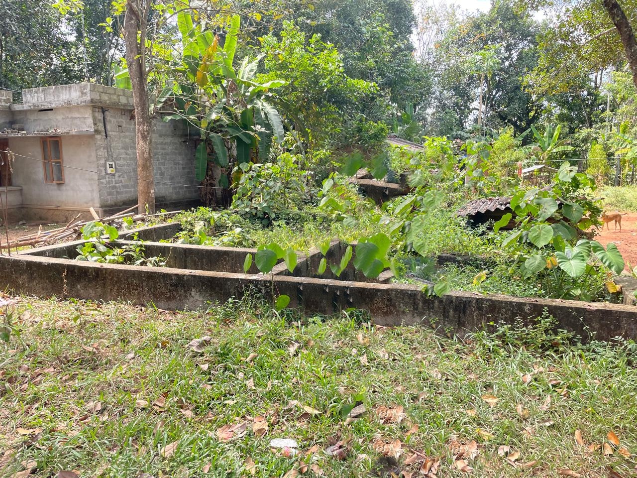 Individual House for Sale in Chengannur — photo 1