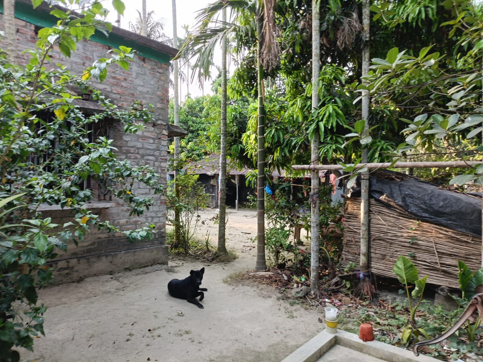 Agriculture Land for Sale in Gobardanga — photo 8