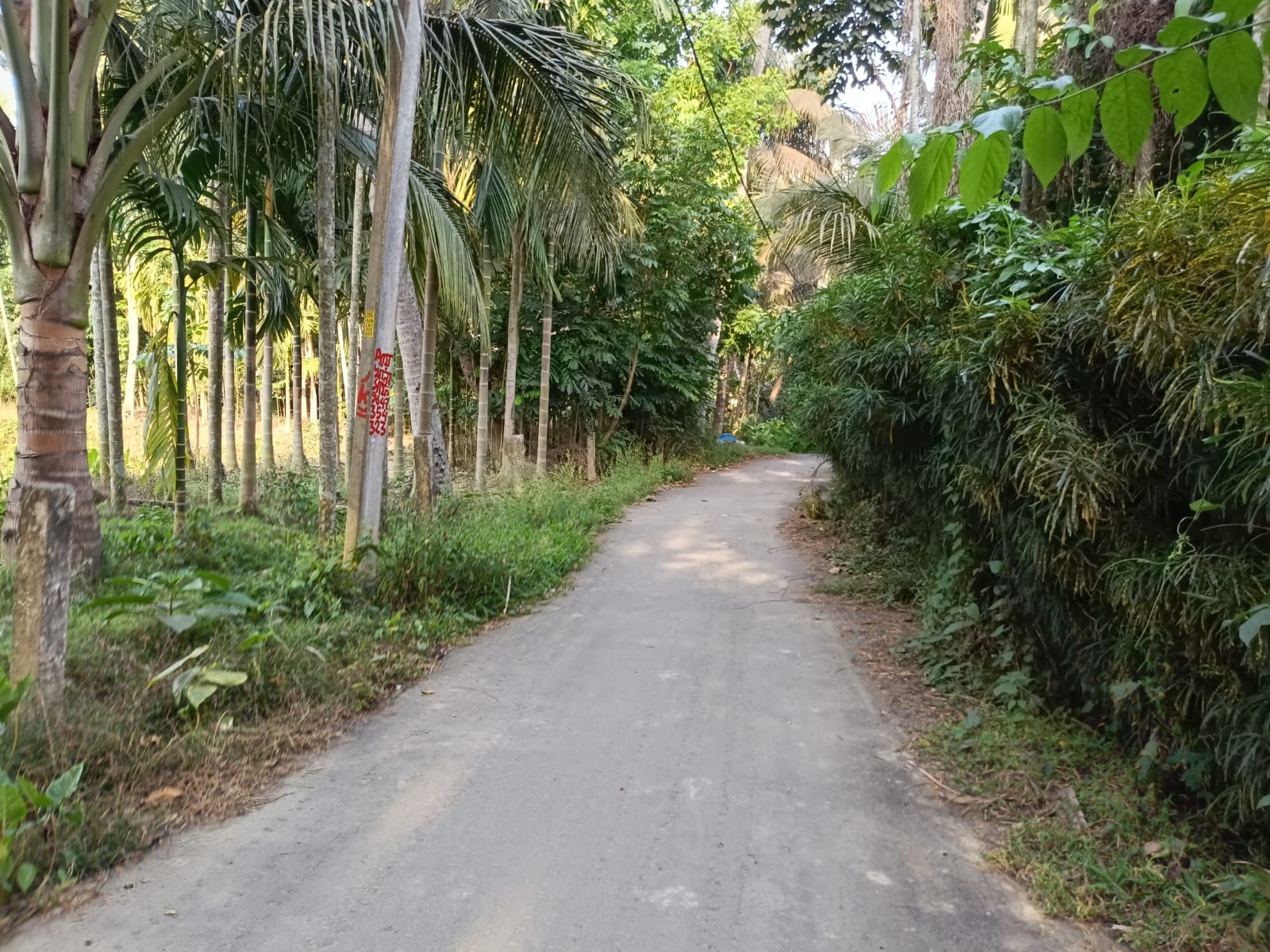 Agriculture Land for Sale in Gobardanga — photo 2