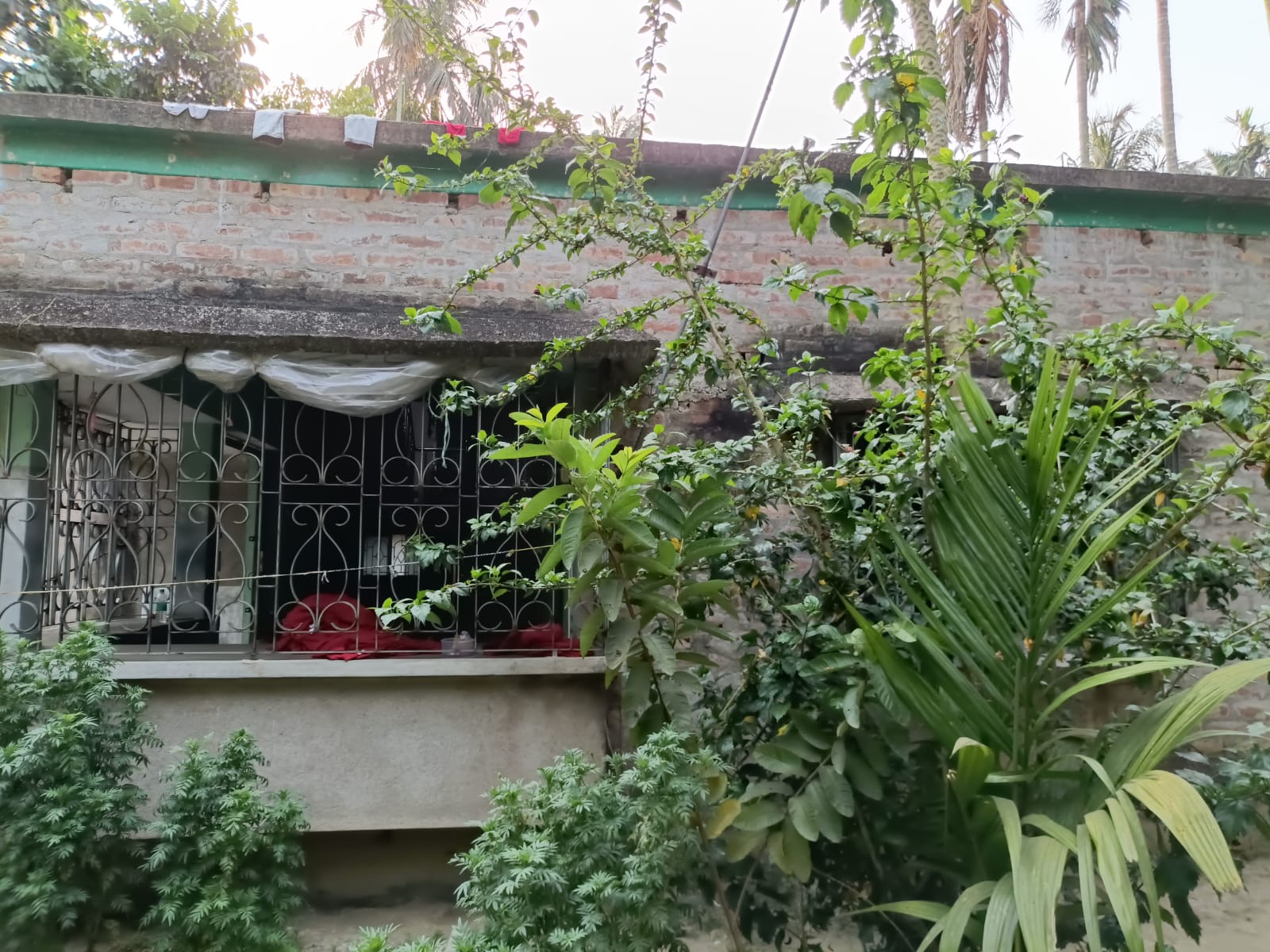 Agriculture Land for Sale in Gobardanga — photo 1