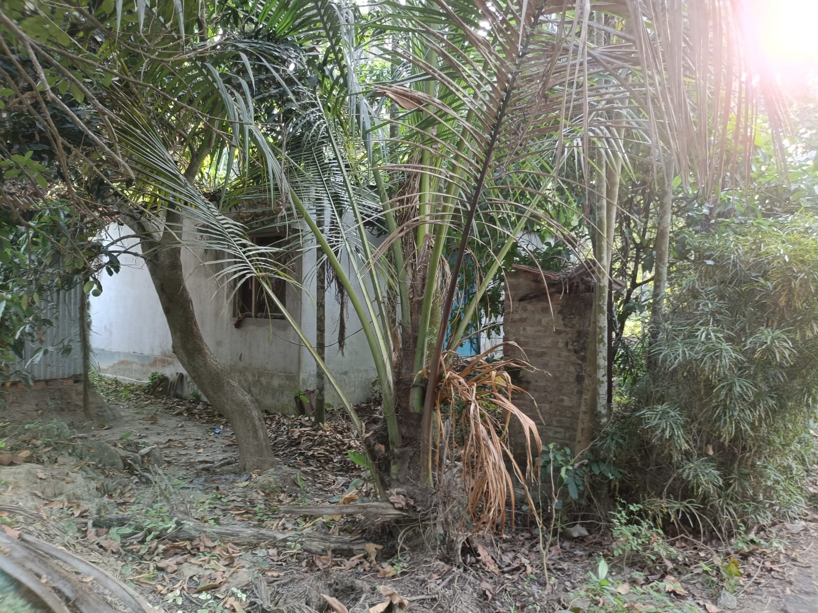 Agriculture Land for Sale in Gobardanga — photo 5