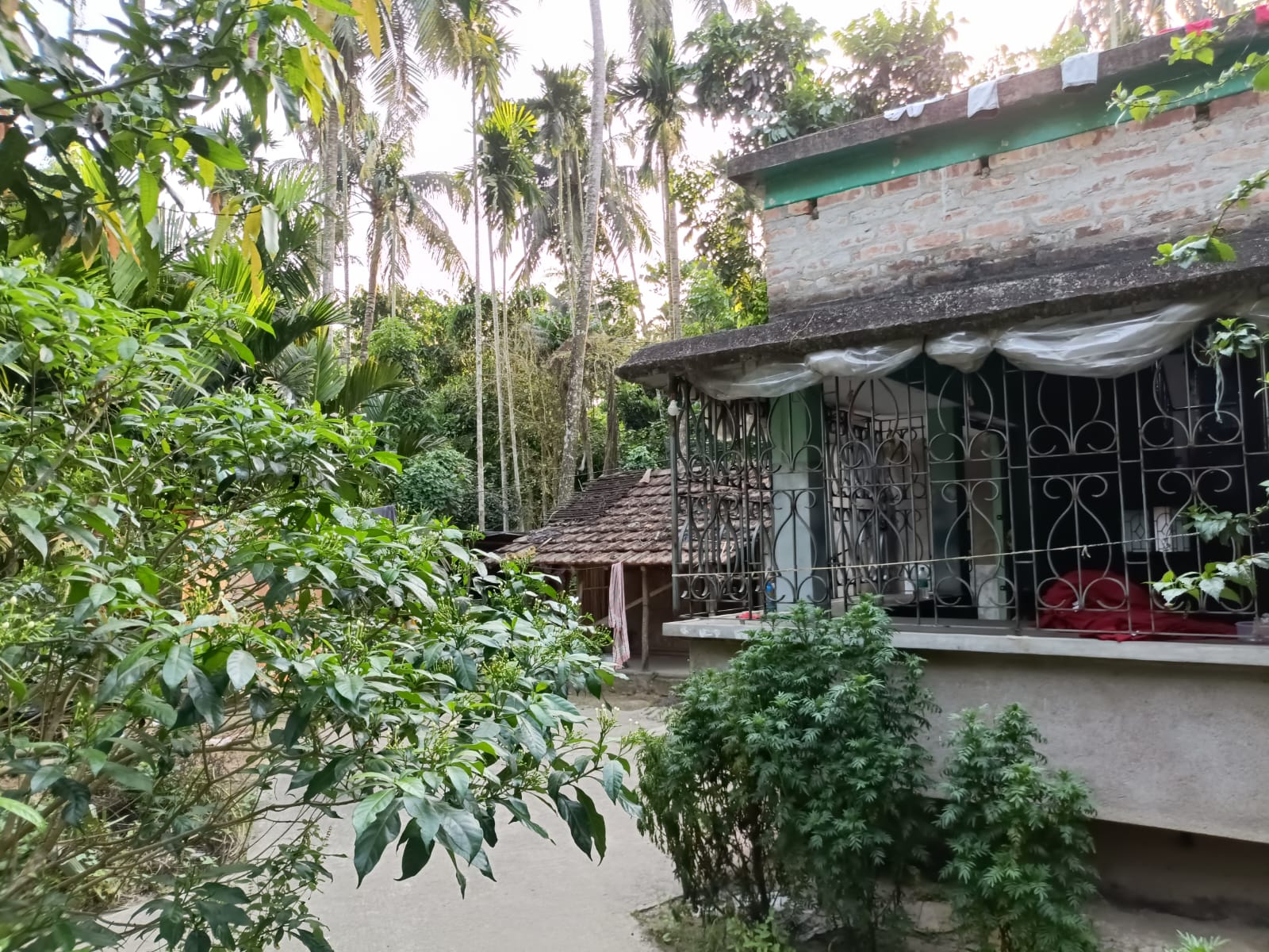 Agriculture Land for Sale in Gobardanga — photo 3