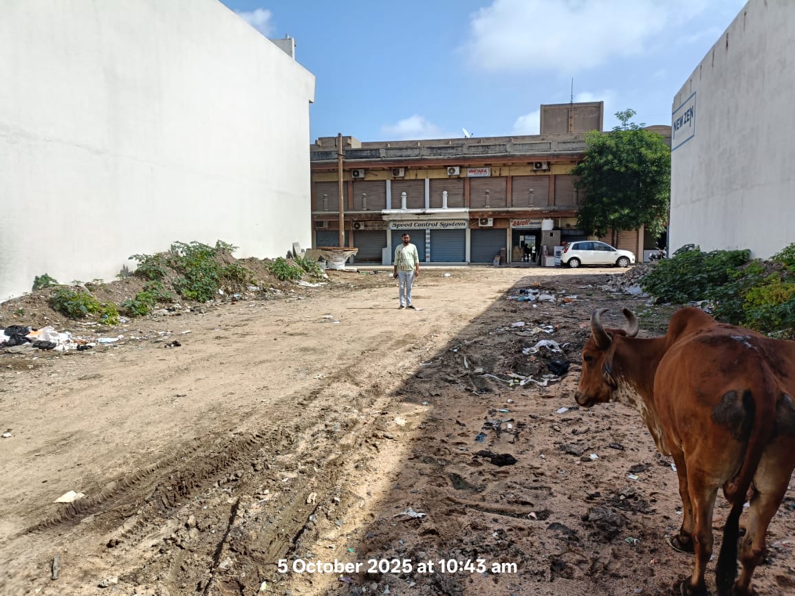 Plot for Sale in Mahendranagar — photo 3