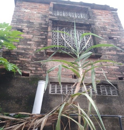 Individual House for Sale in Barasat — photo 1