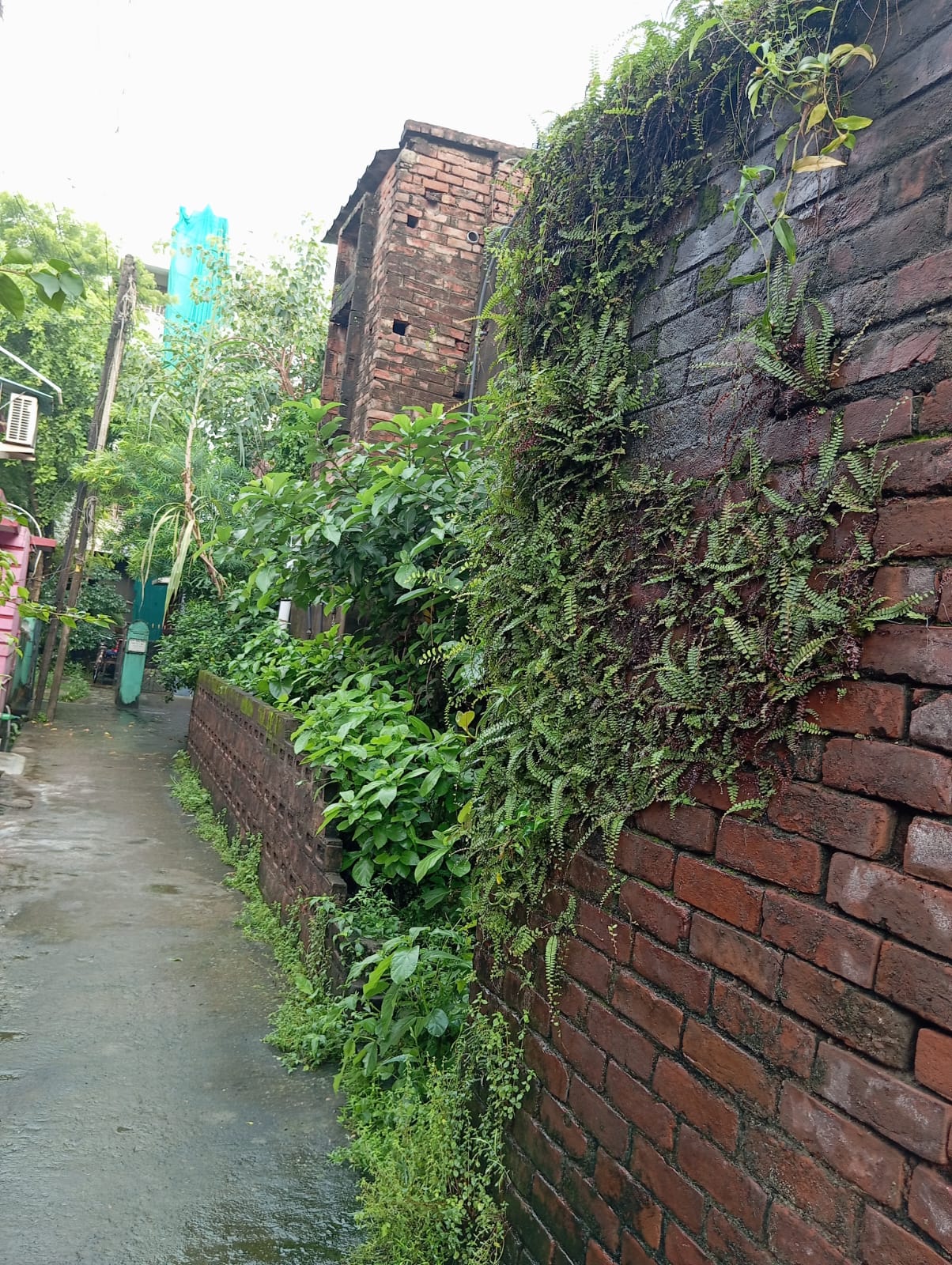 Individual House for Sale in Barasat — photo 4