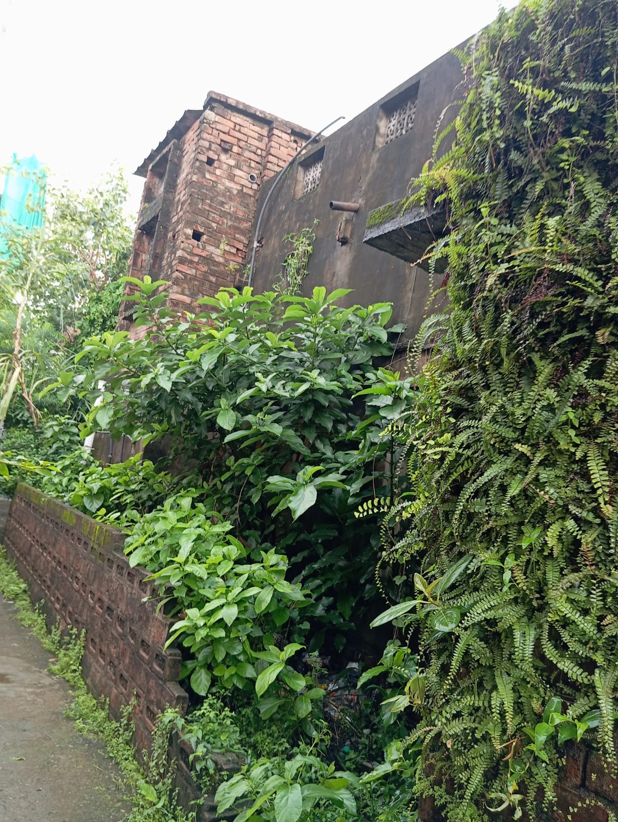 Individual House for Sale in Barasat — photo 5