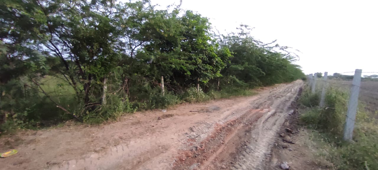 Plot for Sale in URBAN, Pali — photo 3