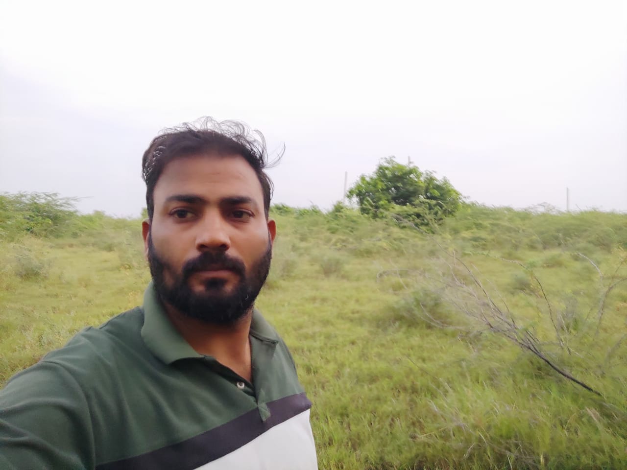 Plot for Sale in Pali — photo 2
