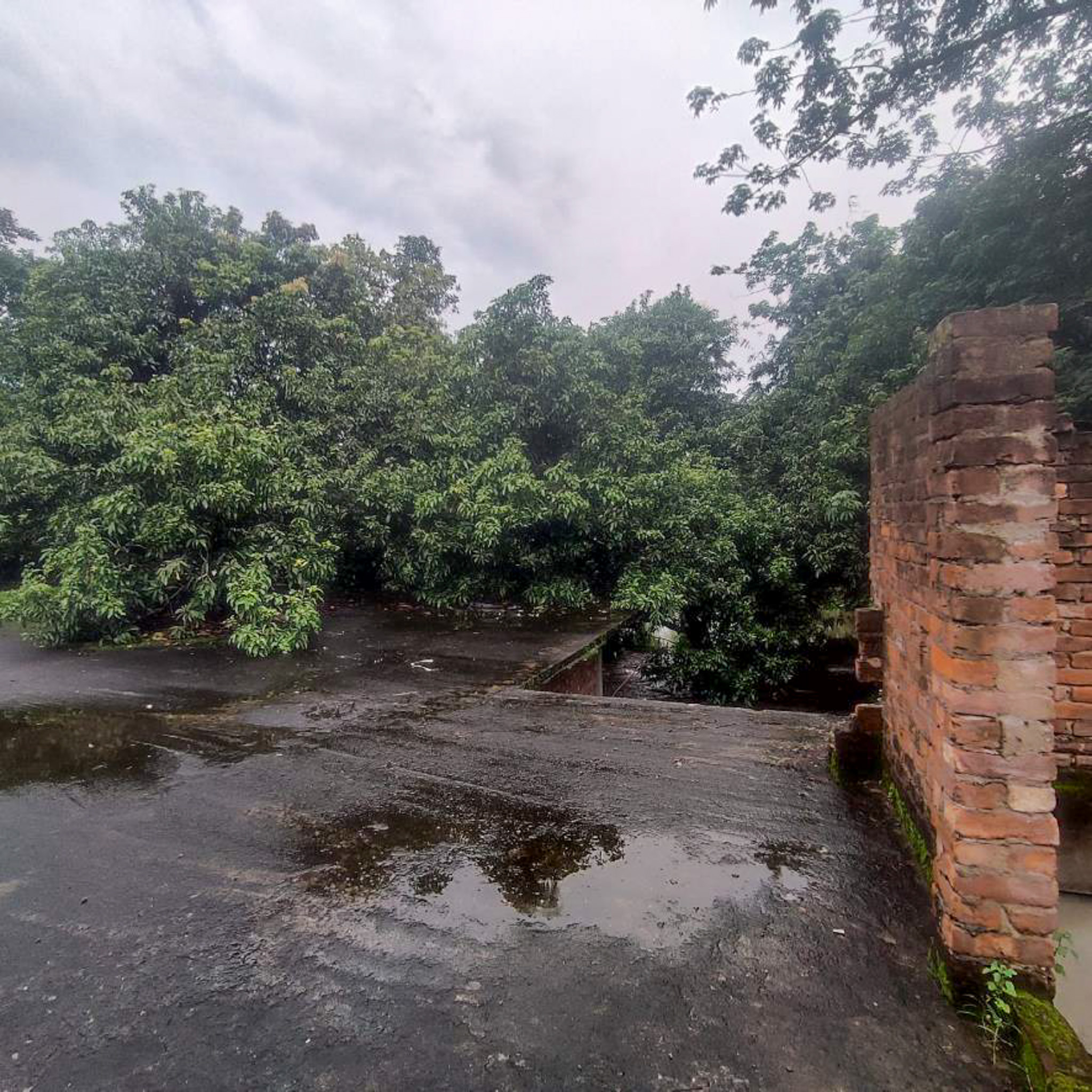 Industrial Shed for Sale in Bhangore, Bhangar Raghunathpur — photo 4