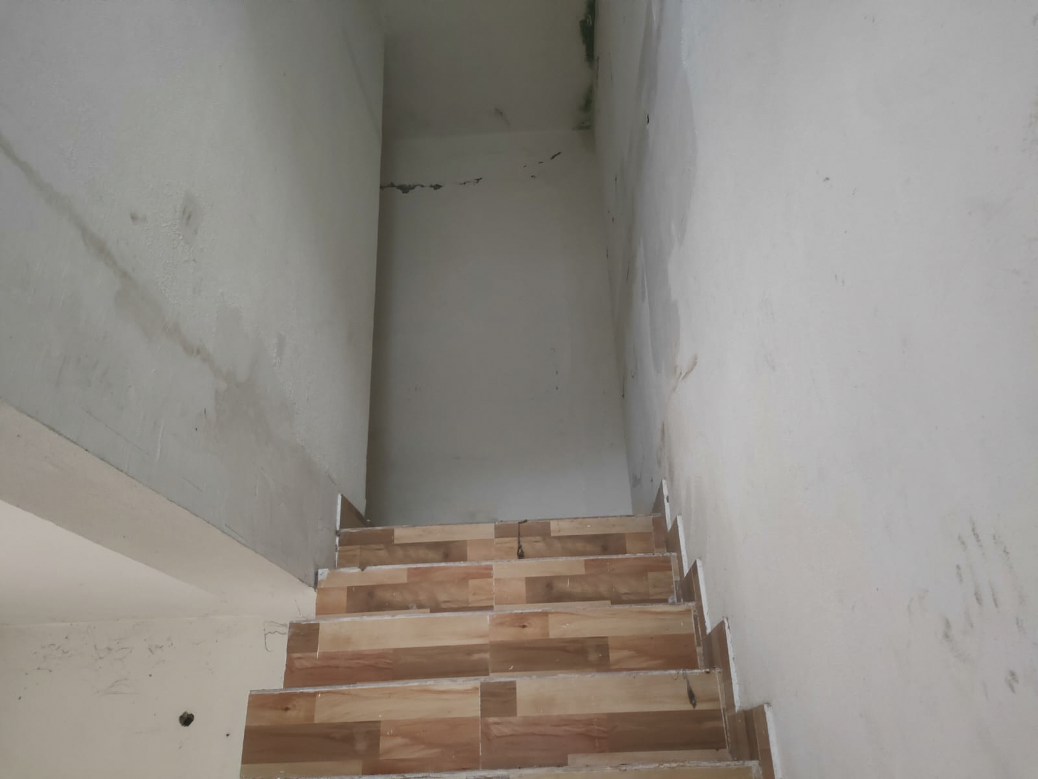 Individual House for Sale in Raiwala, Dehradun, Pratitnagar — photo 11