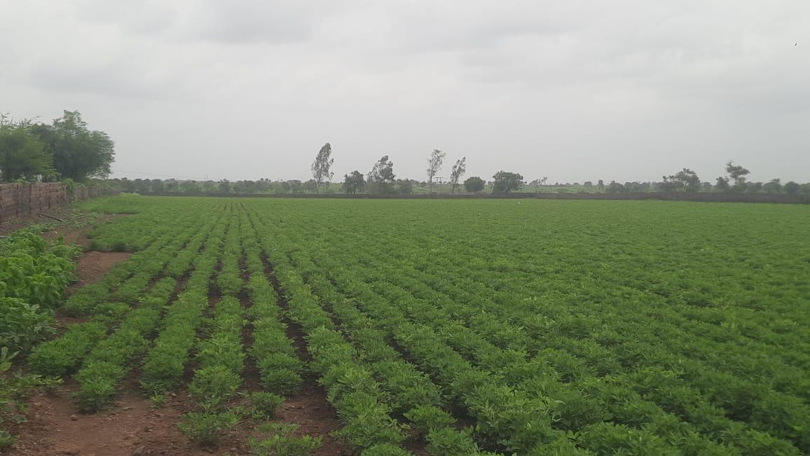Industrial Plot for Sale in Rajula, GWC Township Kovaya — photo 2