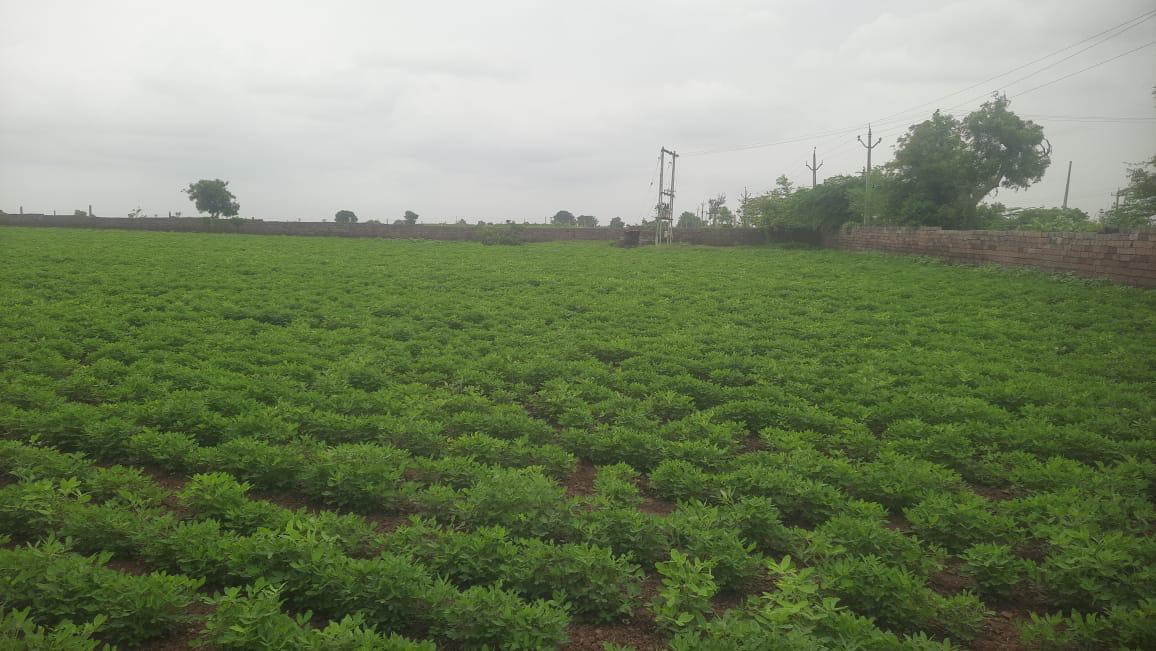 Industrial Plot for Sale in Rajula, GWC Township Kovaya — photo 3