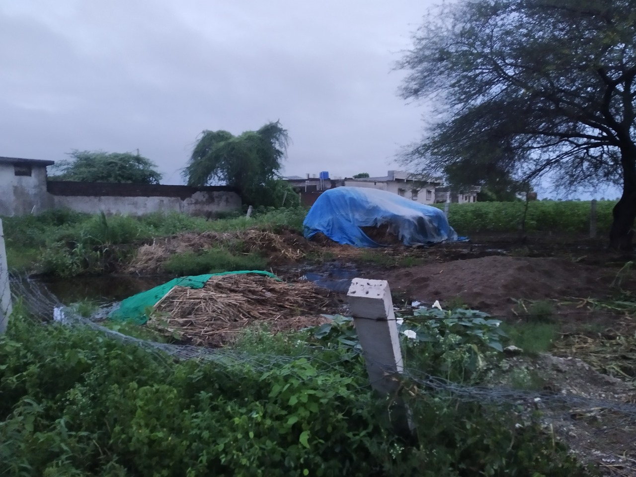 Plot for Sale in Amreli — photo 1