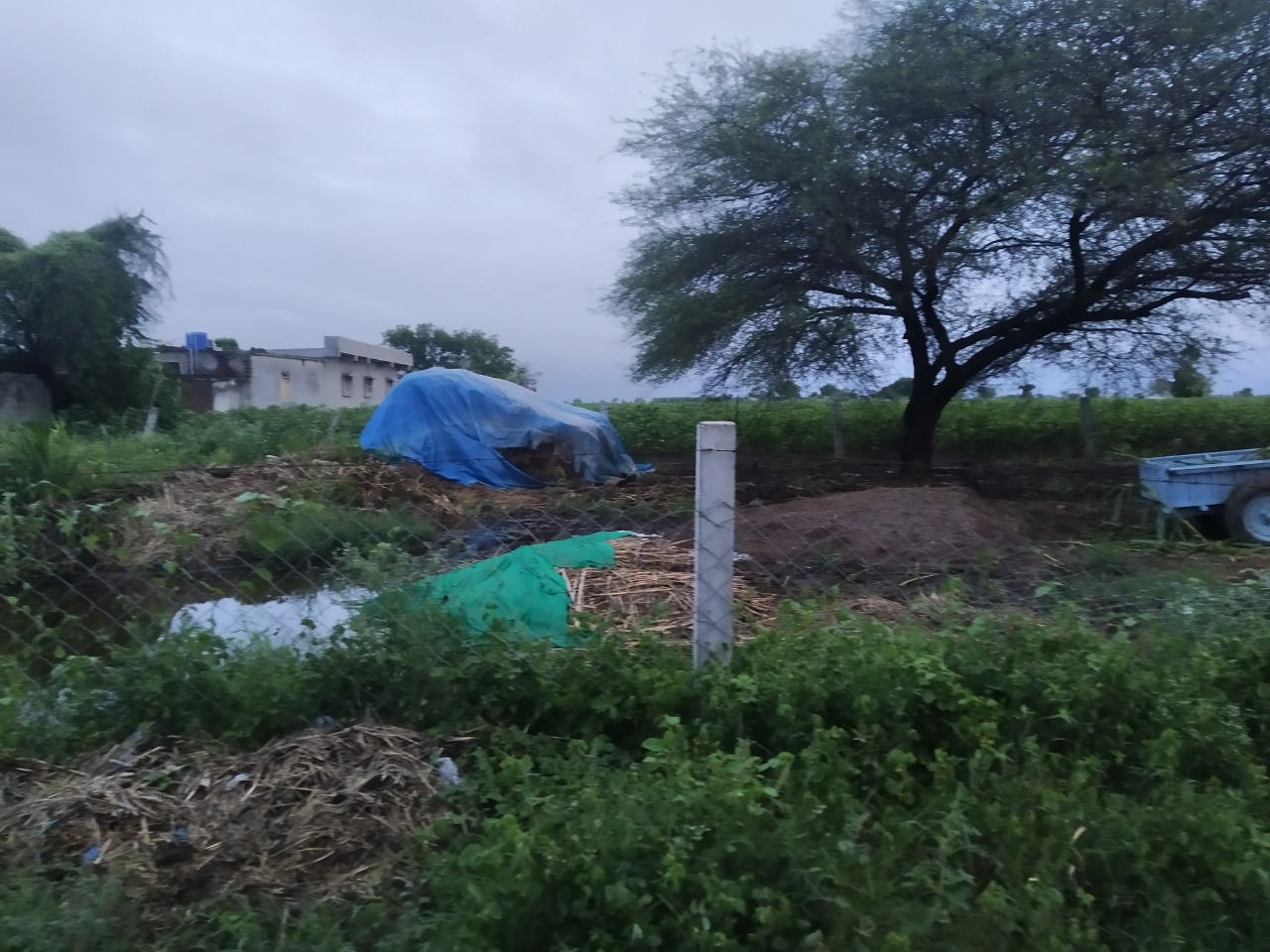 Plot for Sale in Amreli — photo 2