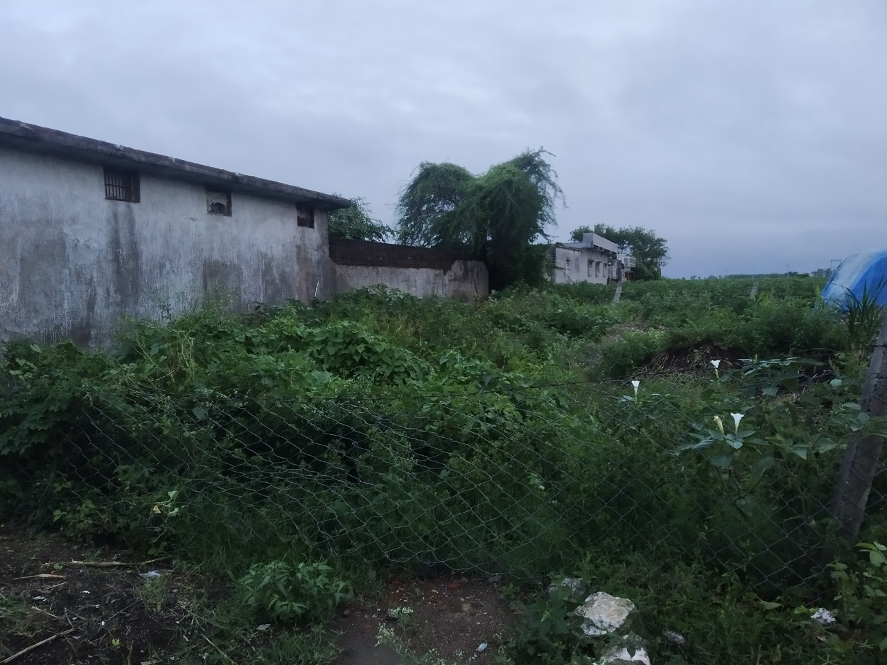 Plot for Sale in Amreli — photo 4