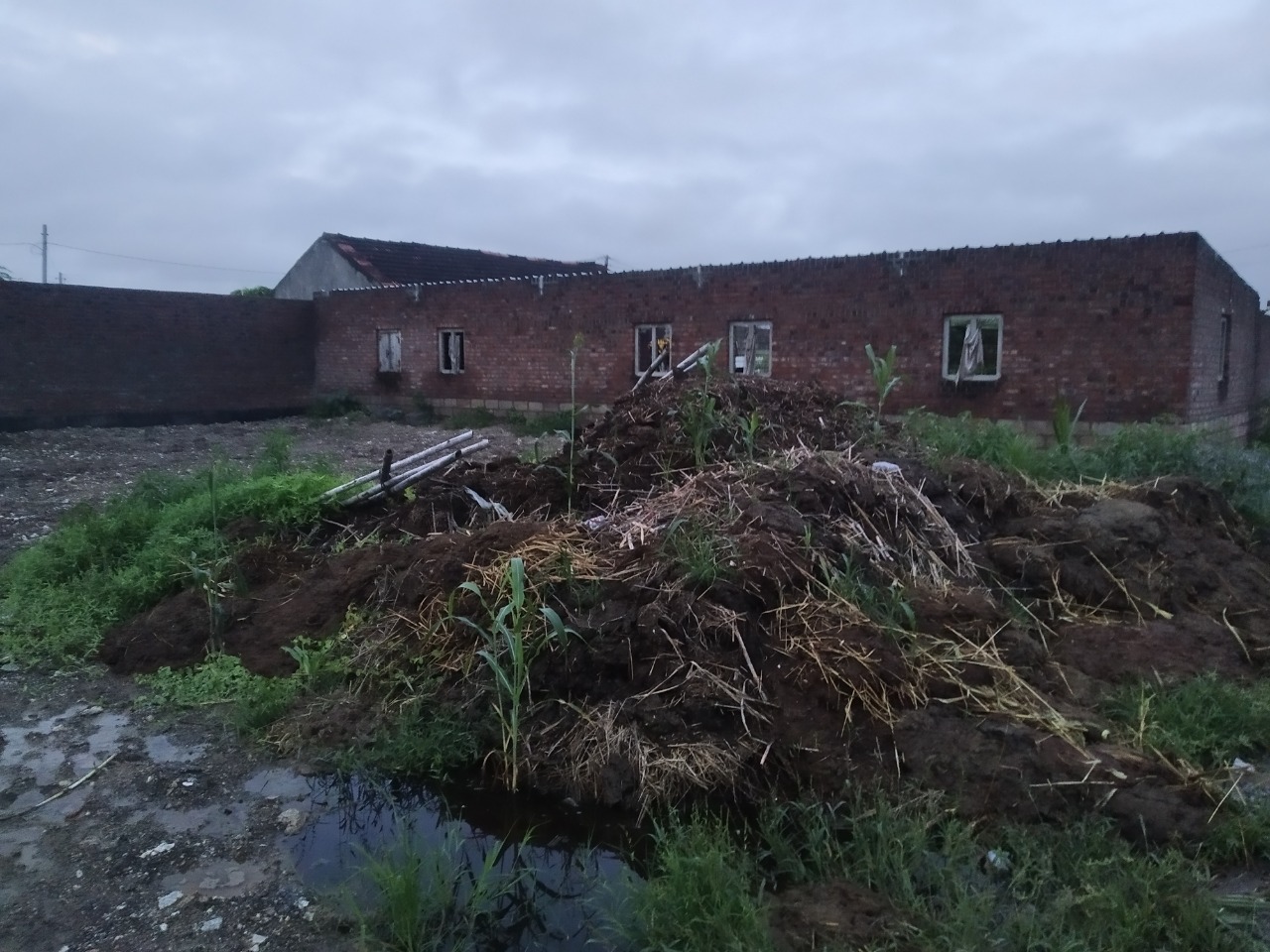 Plot for Sale in Amreli — photo 2