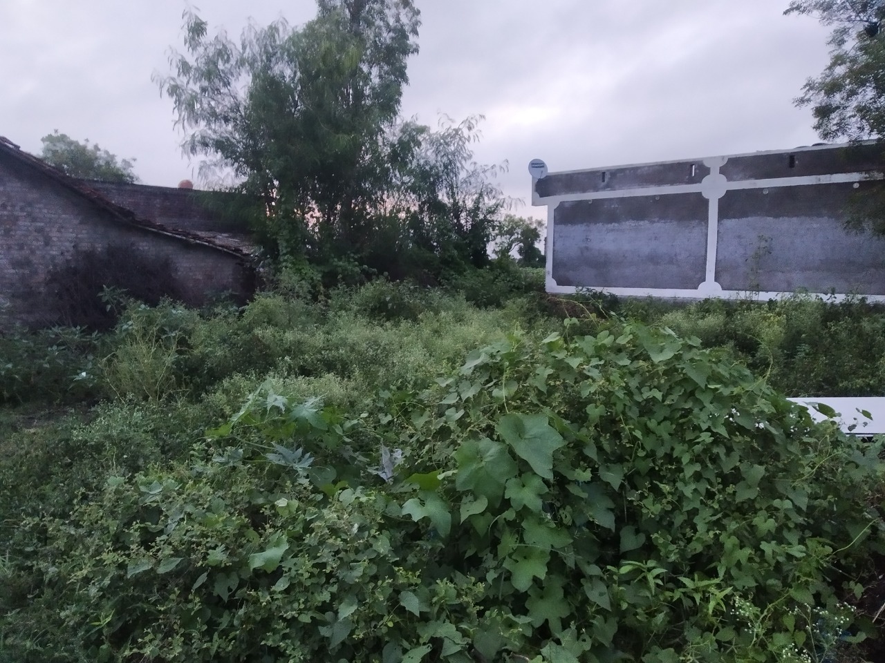Plot for Sale in Amreli — photo 3