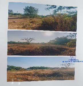 Plot for Sale in Bagadega, Bahalda, Mayurbhanj, Rourkela — photo 1