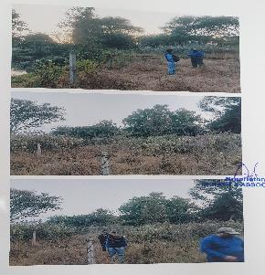 Plot for Sale in Bagdaga, Bahalda, Mayurbhanj, Rourkela — photo 1
