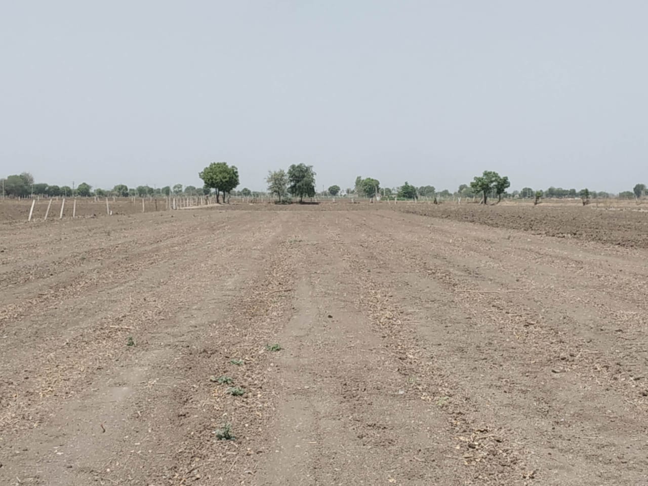 Plot for Sale in Amreli — photo 1