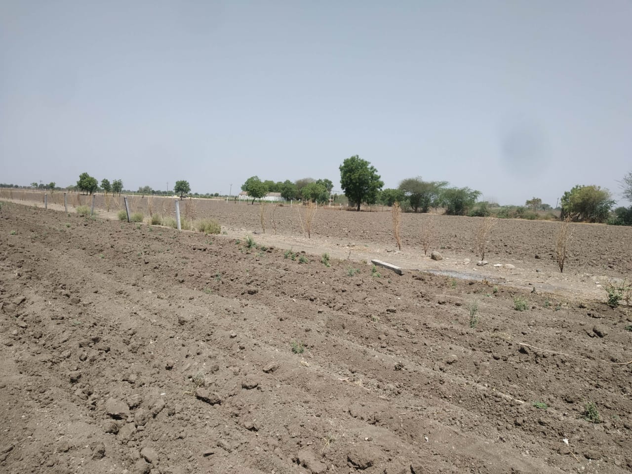 Plot for Sale in Amreli — photo 2