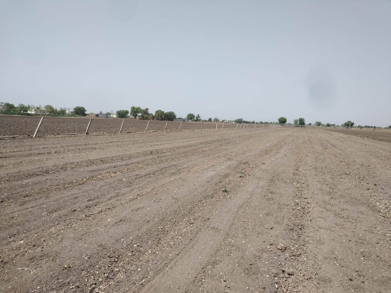 Plot for Sale in Amreli — photo 4