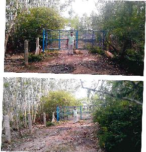 Vacant Site for Sale in Pallathur Village, Pallathur — photo 1