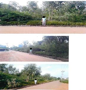 VACANT SITE for Sale in Pallathur Village, Pallathur — photo 1