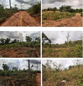 Plot for Sale in Kundapura, Udupi — photo 1
