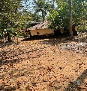 Individual House for Sale in Chavakkad — photo 1