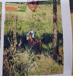 Plot for Sale in Visakhapatnam, Visakhapatnam — photo 1