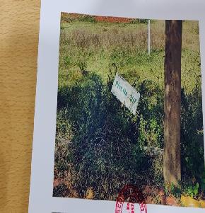 Plot for Sale in Visakhapatnam, Visakhapatnam — photo 1