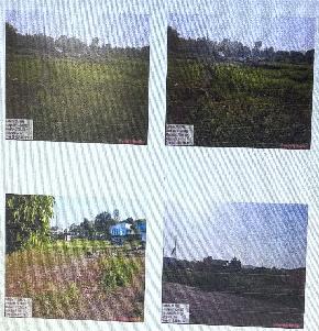 NA Plot for Sale in Nandurbar