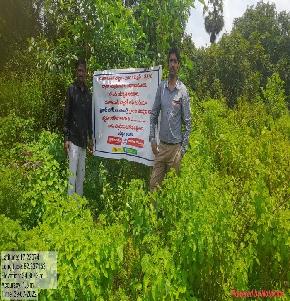 Plot for Sale in Kathipudi — photo 1