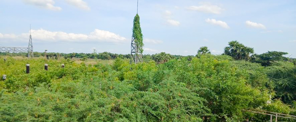 Shed with Plant and Machinery for Sale in Near ONGC, Kodavasal, Koradacheri — photo 56