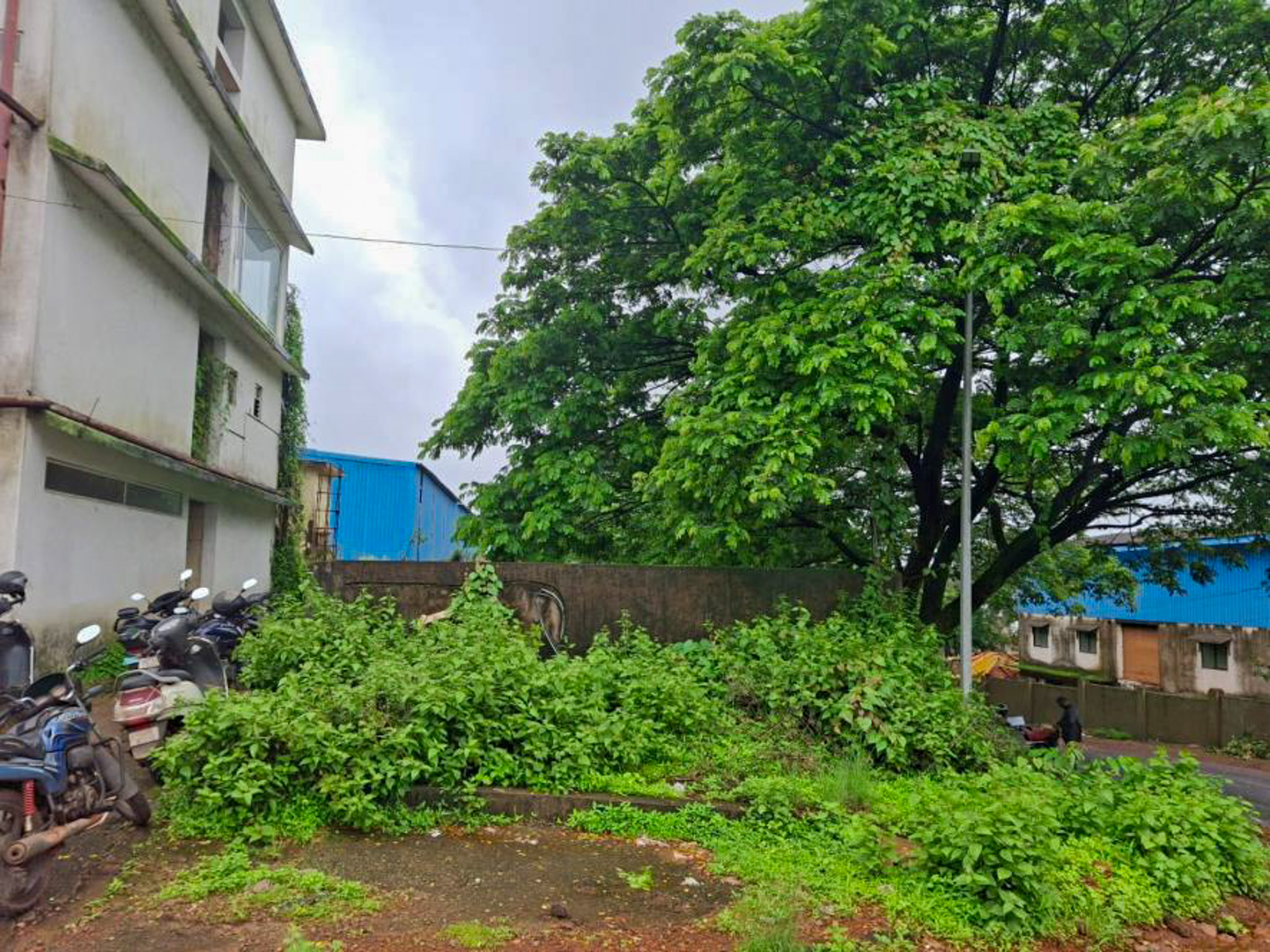 Industrial Plot with Factory Building for Sale in Kundaim, Merces — photo 2
