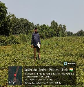 NON AGRI LAND for Sale in Peddapuram — photo 1