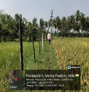 NON AGRI LAND for Sale in Peddapuram — photo 1