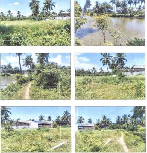 VACANT SITE for Sale in Eluru — photo 1
