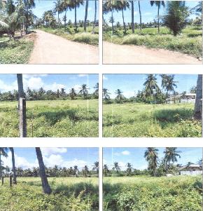 VACANT LAND for Sale in Eluru — photo 1