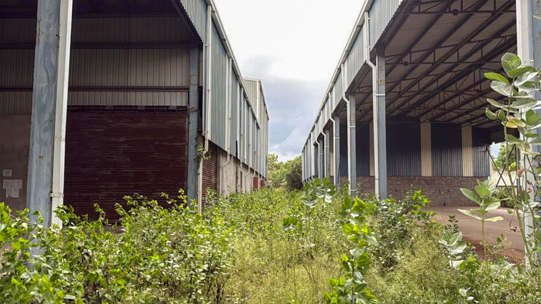 Industrial Plot with Factory Building for Sale in Rajam — photo 2