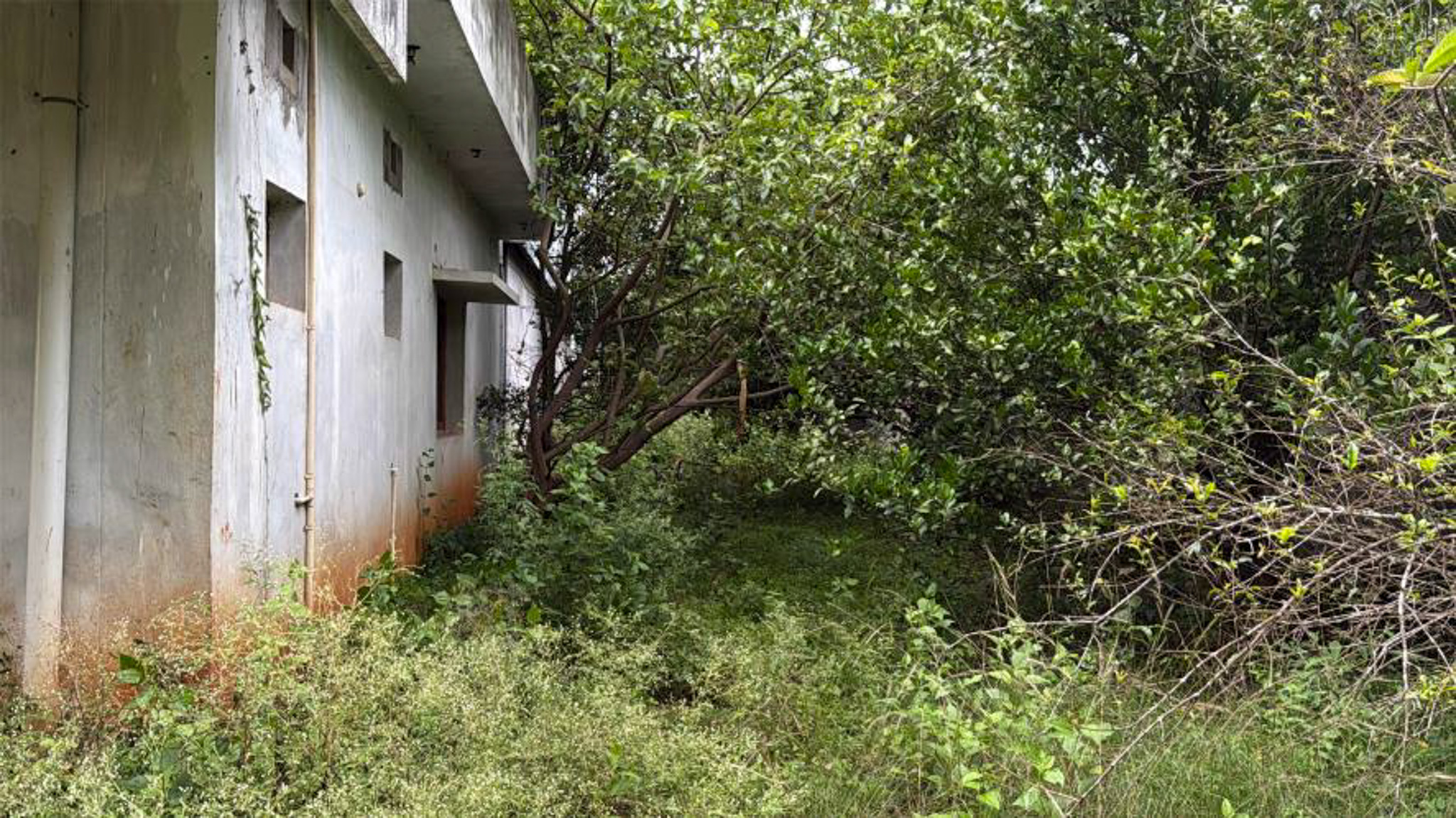 Industrial Plot with Factory Building for Sale in Rajam — photo 16