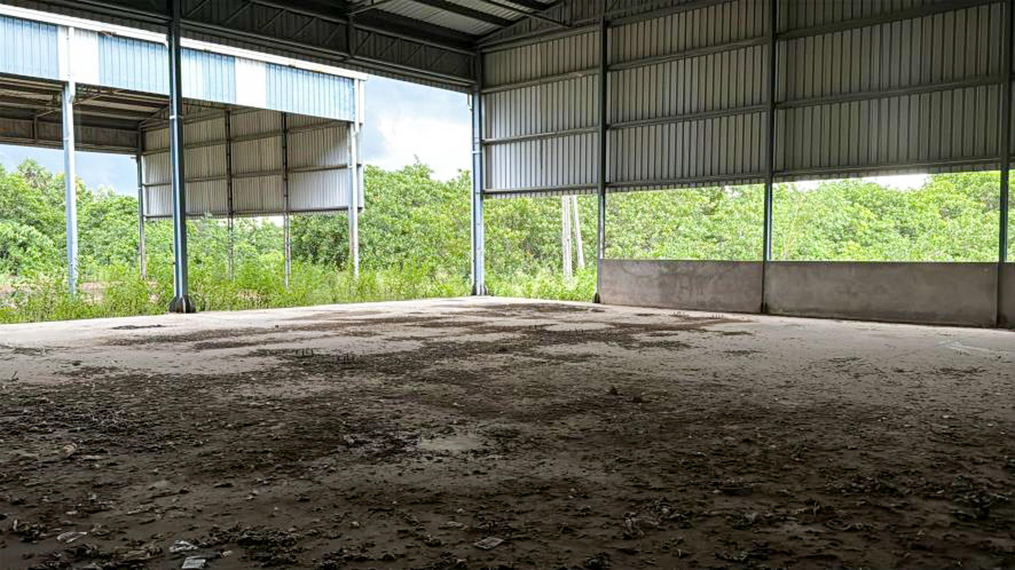 Industrial Plot with Factory Building for Sale in Rajam — photo 15