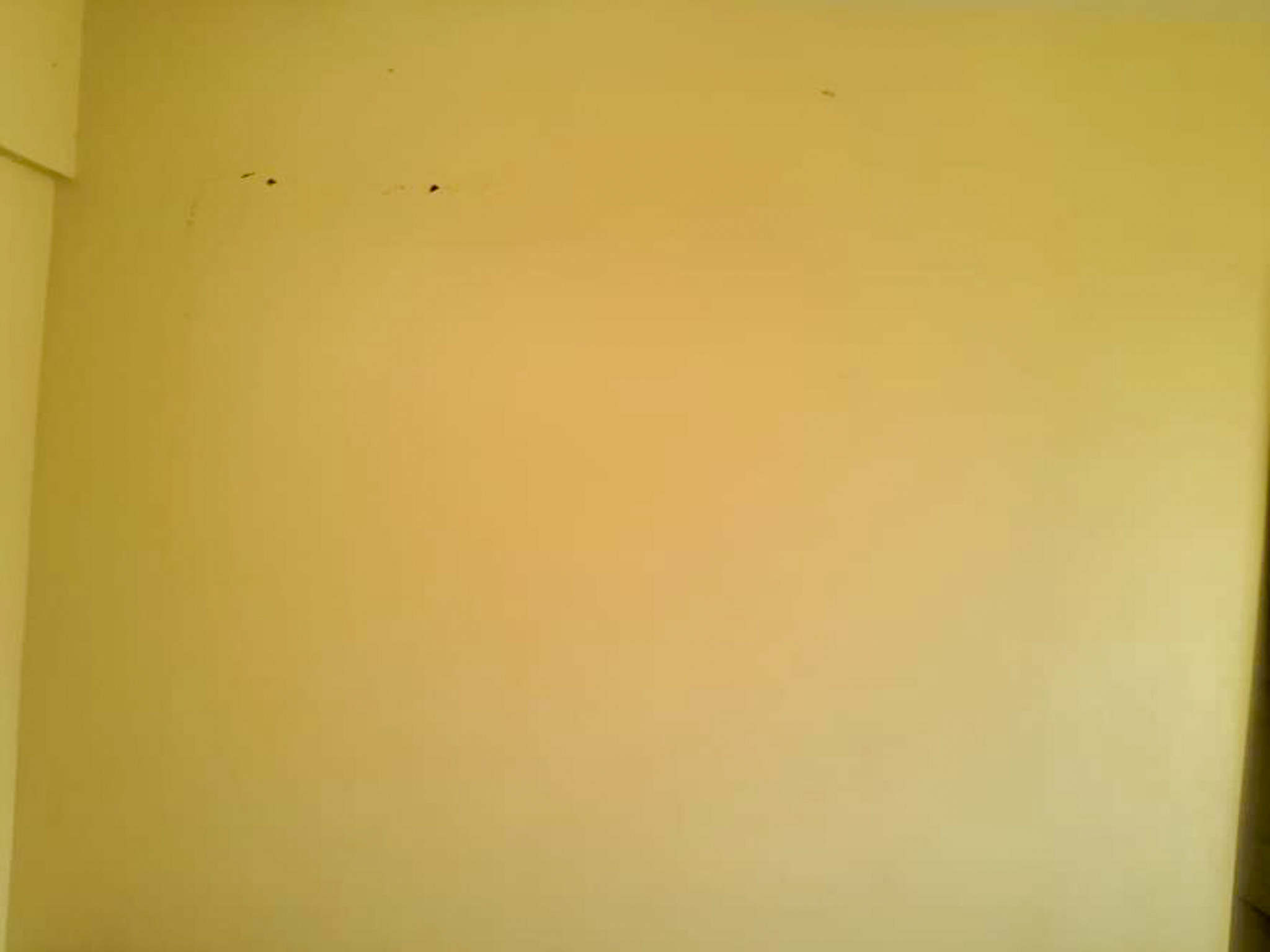 Flat for Sale in MENAMKULAM KAZHAKUTTAM, Thiruvananthapuram — photo 32